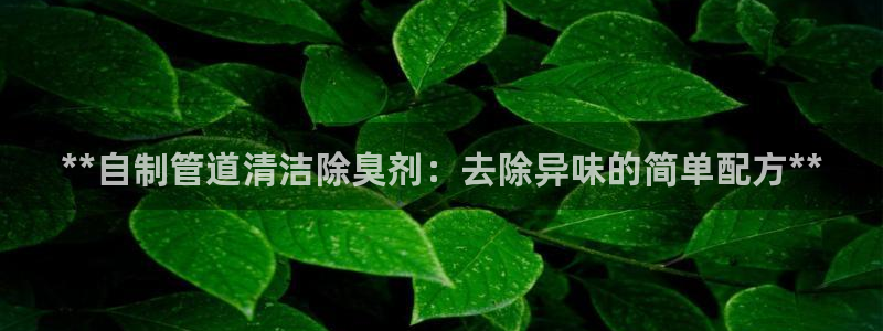 凯时k8官网首页：**自制管道清洁除臭剂：去除异味的简单