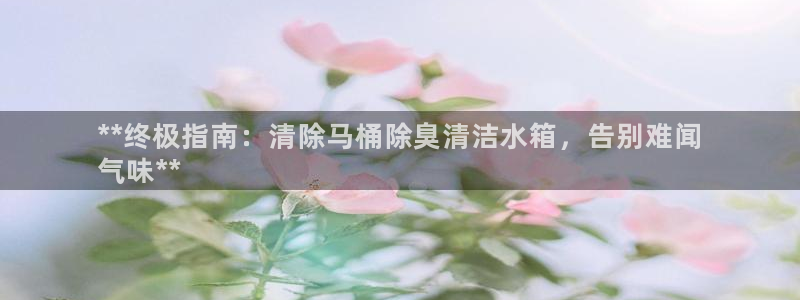 尊龙凯时网站是什么地方人开的：**终极指南：清除马桶除臭